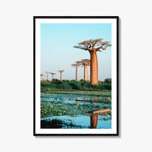 Madagascar Colorful Poster Print, Madagascar Photo Wall Art, Wall Decor, Madagascar Travel Print, Madagascar Street Map Poster, City Map