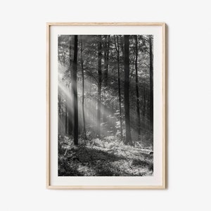 Forest Photo Poster Print, Forest Black and White Wall Art, Forest Wall Photography, Forest Travel, Forest Map Poster
