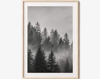 Cloudy Forest Photo Poster Print No 2, Cloudy Forest Black and White Art, Cloudy Forest Wall Photography, Travel,  Map Poster