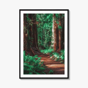 Redwood National Park Colorful Poster Print No 2, Redwood National Park Photo Art, Wall Decor, Travel Print, Street Map Poster, City Map