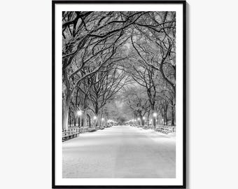 Central Park Black and White Fine Art Photo Print, Literary Walk New York Poster