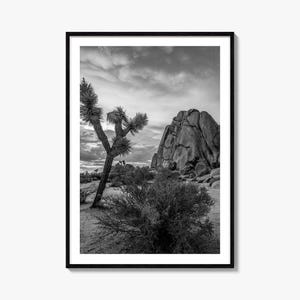 Joshua Tree National Park fotoposter print nr. 2, Joshua Tree National Park zwart-wit kunst, fotografie, reizen, kaartposter