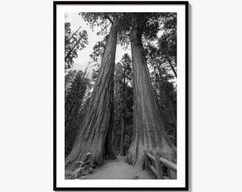 Impressão fotográfica artística em preto e branco do Parque Nacional Sequoia, pôster do Kings Canyon, Califórnia
