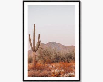 Saguaro National Park Fine Art Photo Print, Tucson Arizona, Sonoran Desert Poster USA