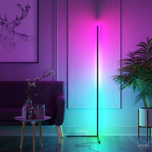 Minimalist LED Floor Lamp,RGB Metal Corner Lamp,Decorative  Floor Lamp,Living Room,Bedroom