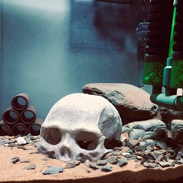 Skull Aquarium Decor Etsy