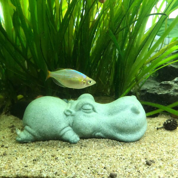 Stone Hippopotamus Statue - Aquarium Stone Decor | Aquarium decoration | Terrarium Decor | Garden Miniatures | Desk Decor