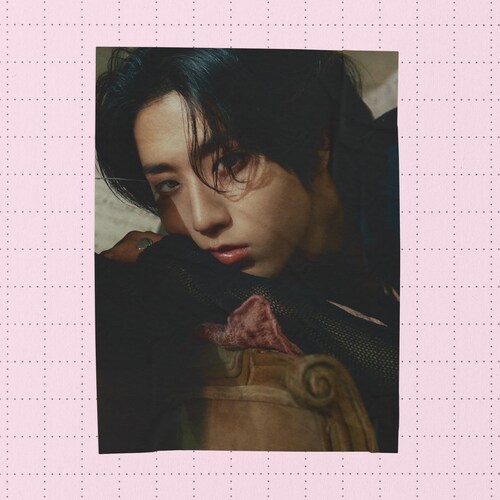 Han Quokka Stray Kids Light Stick Cover Version 1 or 2 Kpop - Etsy