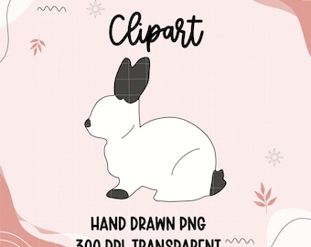 Hand Drawn Show Rabbit Clipart | 4H Livestock PNG (Digital Download)