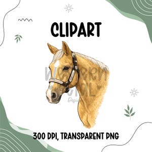 May include: A digital clipart image of a horse's head, featuring a tan coat and a white mane. The horse wears a brown bridle. The word "CLIPART" is in bold black letters above the horse. The text "300 DPI, TRANSPARENT PNG" is below the horse.