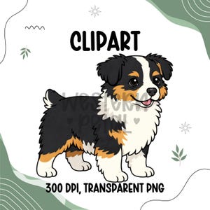 Mini Aussie Puppy Clipart | Australian Shepherd PNG (300 DPI, Transparent Background)