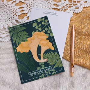 Mushroom Postcard – Chanterelle