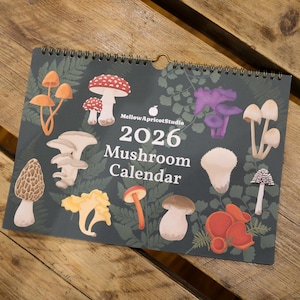 2026 Mushroom Wall Calendar