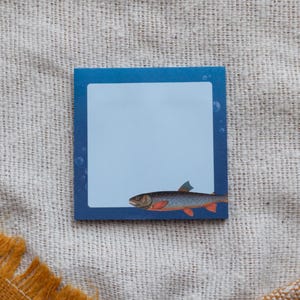 Op de afbeelding: Vierkante plakbriefje met een blauwe rand en een lichtblauw interieur. Een gedetailleerde illustratie van een vis met oranje vinnen en een blauw en bruin lichaam staat rechtsonder. Bubbels staan op de achtergrond.