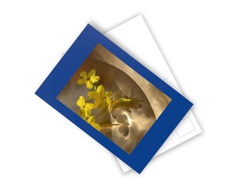 VoyagingWithin, Cards, Postcards (10pcs), Winter Jasmine Sunlight