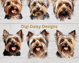 Yorkshire Terrier PNG Files Commercial Use Allowed Yorkie JPEG Files, Instant Digital Download, Dog Breed Pet Face Portrait Cute Yorkie PNGs