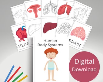 Printable Human Anatomy Coloring Workbook For Kids, Instant Digital Download, Human Body Parts Coloring Educational Worksheets Kids Activity