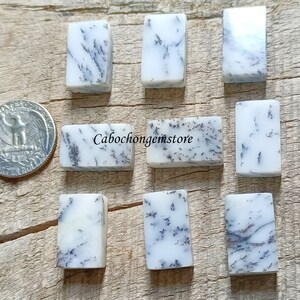 May include: Ten white and black dendritic opal cabochons, each measuring approximately 1 inch in length, arranged in two rows on a wooden surface.  The cabochons have a white base with black dendritic patterns.