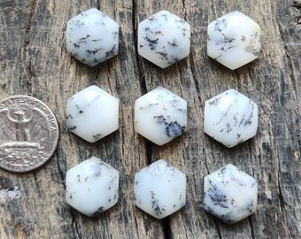 AAA+ Grade Hexagon dendritic agate Cabochon dendritic agate cabochon Loose Gemstone . Hexagon dendritic Flat back For Making ALL Jewelry.