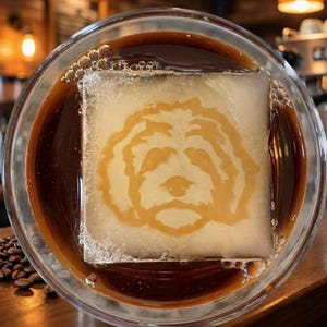 May include: A clear glass of coffee with a large ice cube featuring a dog's face design. The coffee is dark brown, and the ice cube has a light brown image of a dog. Coffee beans are visible in the background.