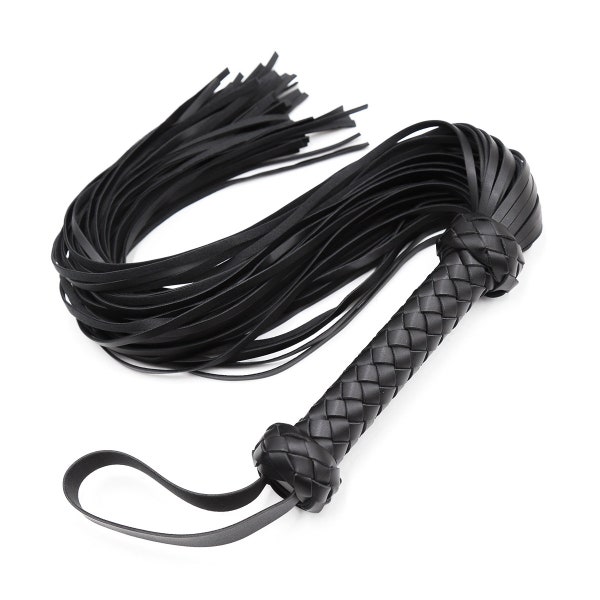 motorcycle handlebar whip