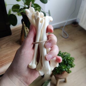 Gepersonaliseerde ja/nee-osteomantielezing – waarzeggerij van oude botten voor duidelijkheid en begeleiding