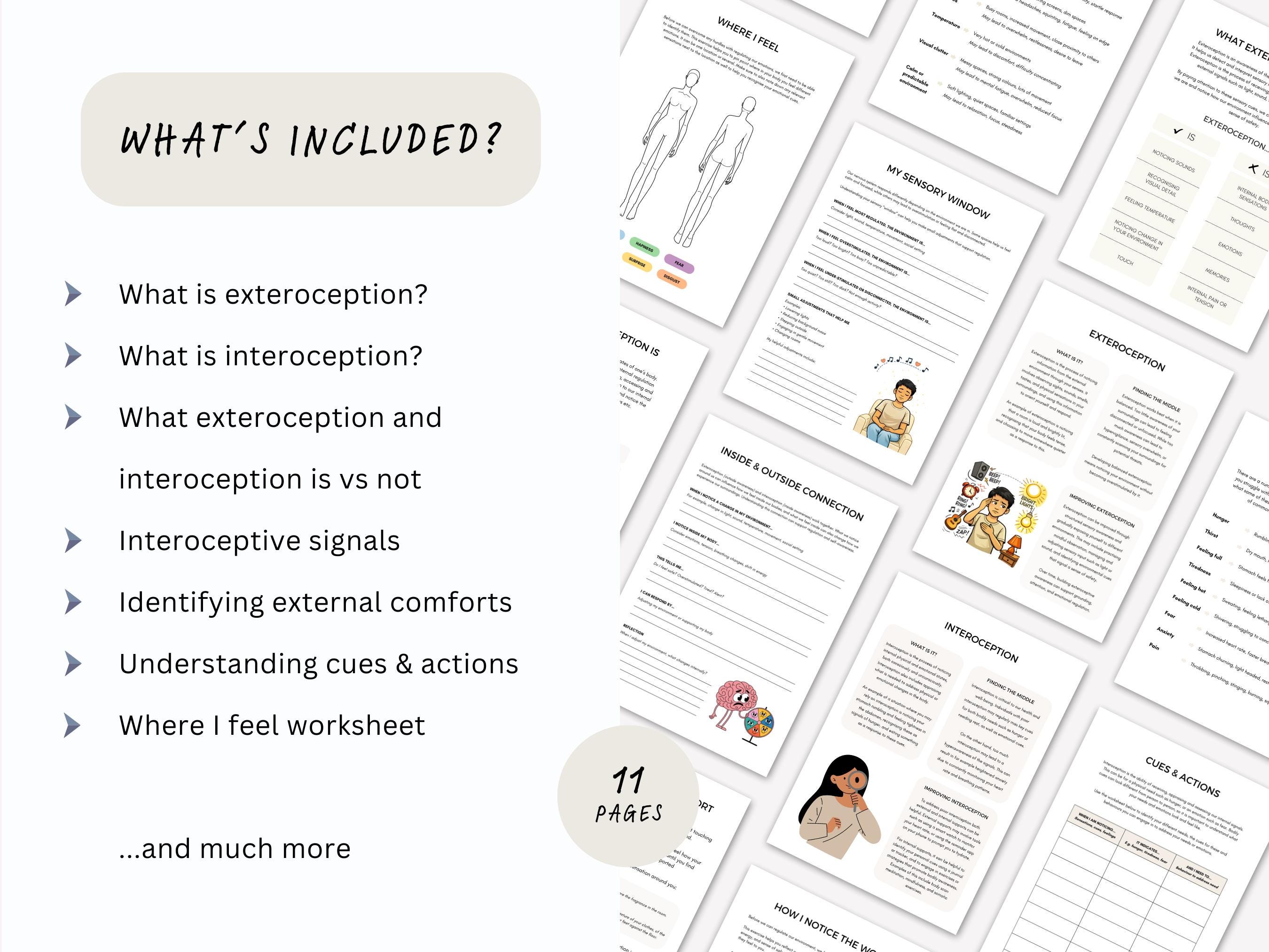 Exteroception and Interoception Body Mapping Worksheets for Adults ...