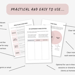 Wise Mind Therapy Handouts to Understand Three DBT Mind States