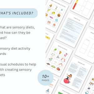 Sensory Diet Therapy Toolbox with Visual Schedules