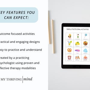 Sensory Diet Therapy Toolbox with Visual Schedules