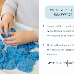 Sensory Diet Therapy Toolbox with Visual Schedules