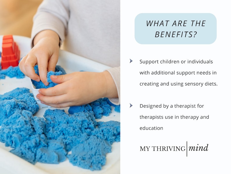 Sensory Diet Therapy Toolbox with Visual Schedules