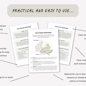 Fight Flight Freeze Fawn Worksheets for Managing the Stress Response ...