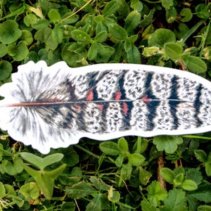 Sticker vinyle plume - Sticker brillant - Sticker imperméable - Sticker oiseau - Sticker animal - Sticker nature - Papeterie nature