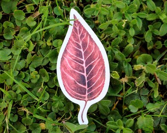 Autumn leaf Vinyl Sticker - Glossy sticker - Waterproof Sticker - Fall leaf Vinyl Sticker - Plant sticker - Nature sticker-Nature Stationery