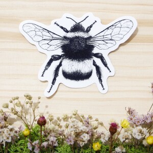 Hummel Vinyl Aufkleber - Glänzender Aufkleber - Wasserfester Aufkleber - Insekten Aufkleber - Tier Aufkleber - Natur Aufkleber - Natur Schreibwaren