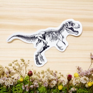 Sticker dinosaure T-rex - Sticker brillant - Sticker imperméable - Illustration de dinosaure - Sticker nature - Papeterie nature