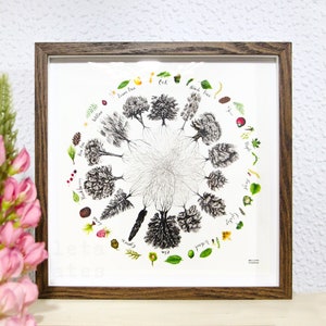 May include: A framed print of a circle with 12 trees and their leaves, fruits, and seeds. The trees are labelled with their names, including Oak, Willow, and Beech.
