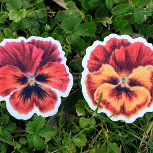 Confezione di adesivi in vinile fiori viola da 2 - Adesivo lucido - Adesivo impermeabile - Pacchetto adesivi-Adesivo fiore-Adesivo natura-Cancelleria fiori
