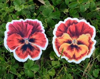 Viola flowers Vinyl Sticker Pack of 2 - Glossy sticker - Waterproof Sticker - Sticker pack-Flower sticker-Nature sticker-Flowers Stationery