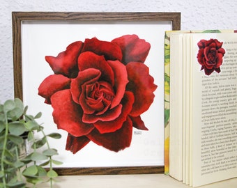 PACK ROSE - Art Print and Magnetic Bookmark - Giclée print in Matte Paper - Rosa de Sant Jordi