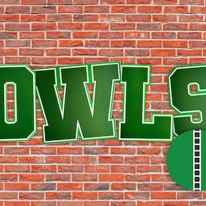 Letter-Cut Cheerleading Sign (4mm Corrugated)