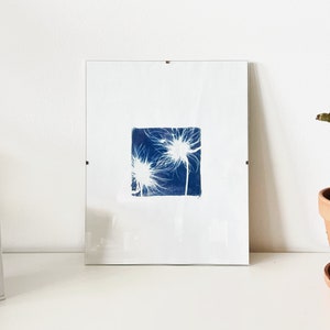 fleurs séchées, cyanotype original
