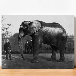 Jumbo Elephant Barnum 1880, Vintage Circus Art, Retro Wall Art, Digital Print, Instant Download