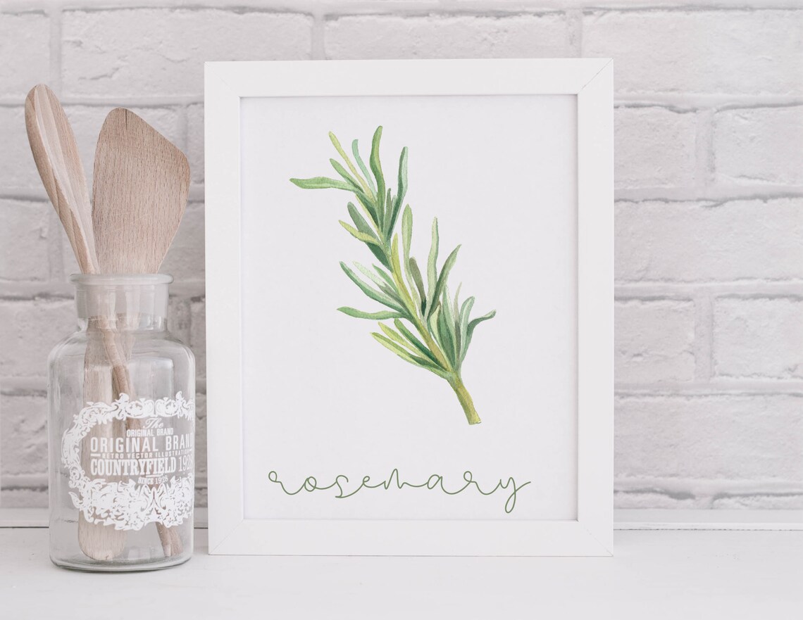 Herb Printables as a PDF - Etsy