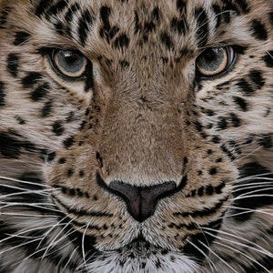 Under Scrutiny - peinture au pastel originale