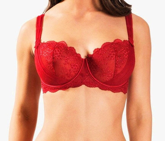 Aubade A L'amour Sheer Red Floral Lace Bra 34B Nwt Msrp 129 