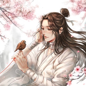 Impresiones artísticas TGCF HuaLian
