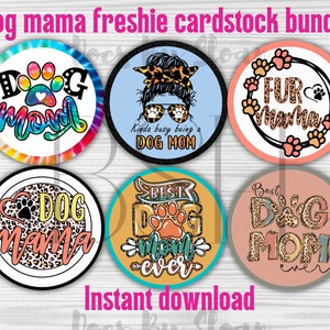  Freshie Cardstock Cutouts Rounds 2.5 Inch For Freshies  Random Mix32 PkFor Scented Aroma Beads Bake