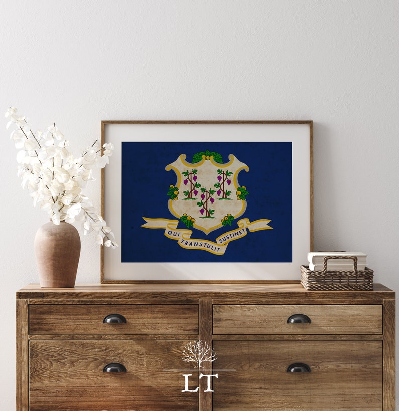 Vintage Connecticut State Flag Printable Wall Art, Connecticut State ...